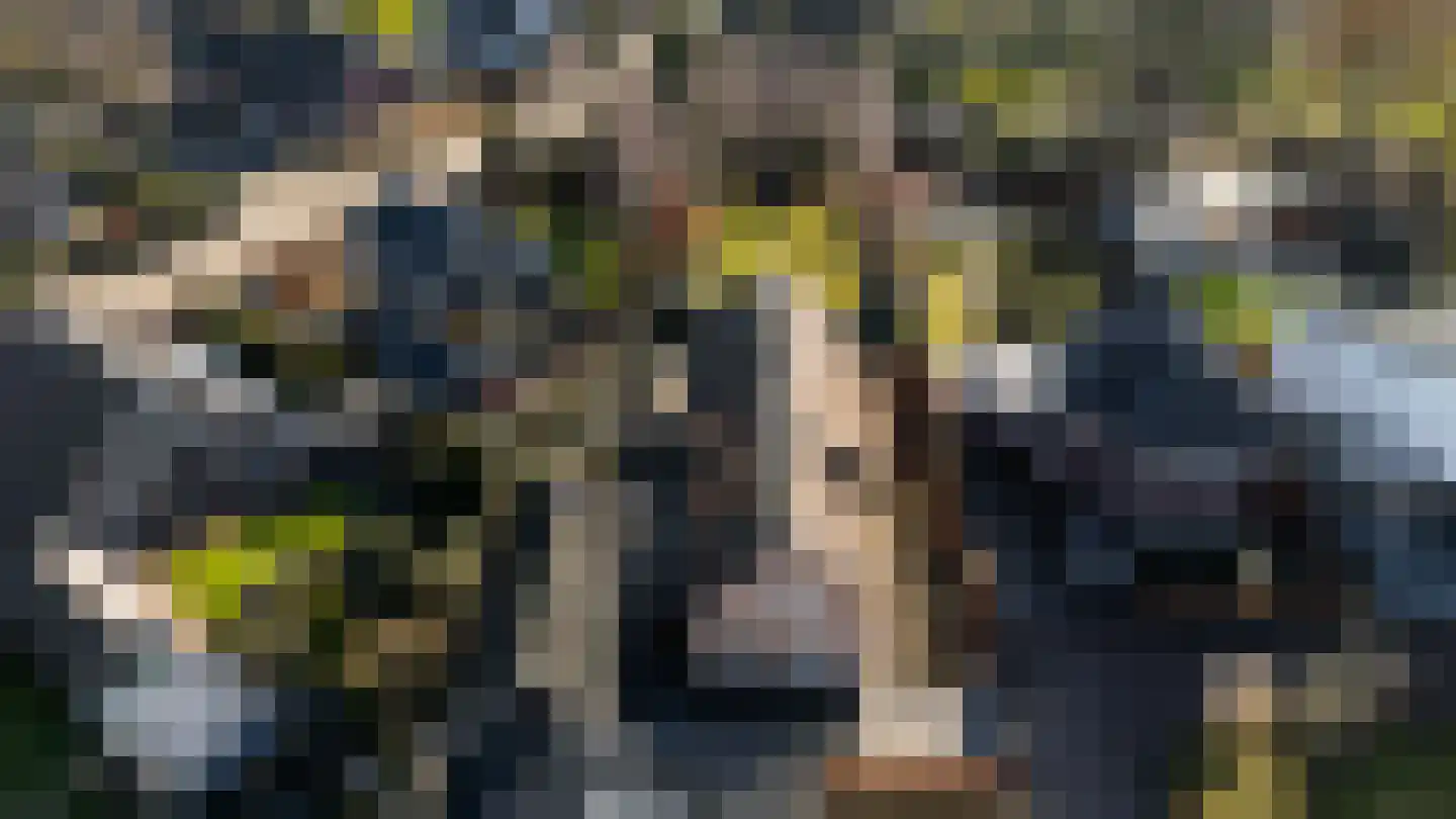 Parc Tichelt 5 Rijsbergen thumbnail 59