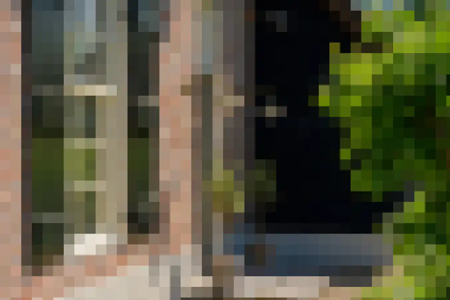 Parc Tichelt 5 Rijsbergen thumbnail 63