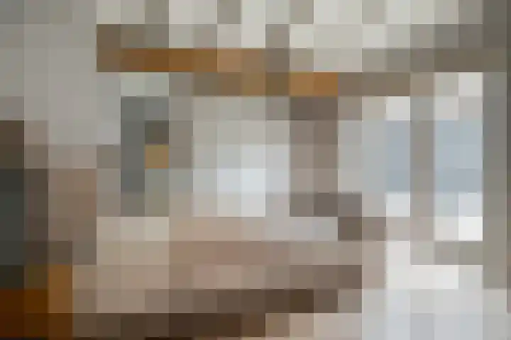 Parc Tichelt 5 Rijsbergen thumbnail 9