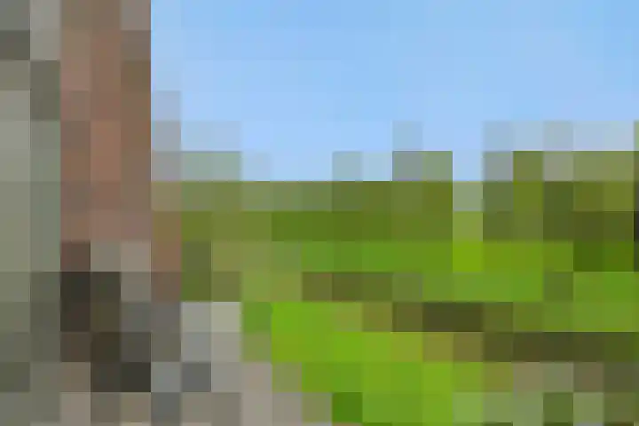 Parcivalring 109 's-Hertogenbosch thumbnail 18