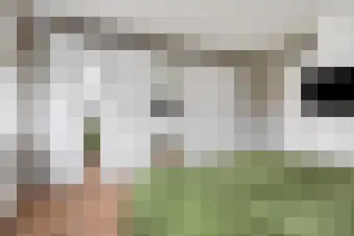 Parcivalring 109 's-Hertogenbosch thumbnail 24