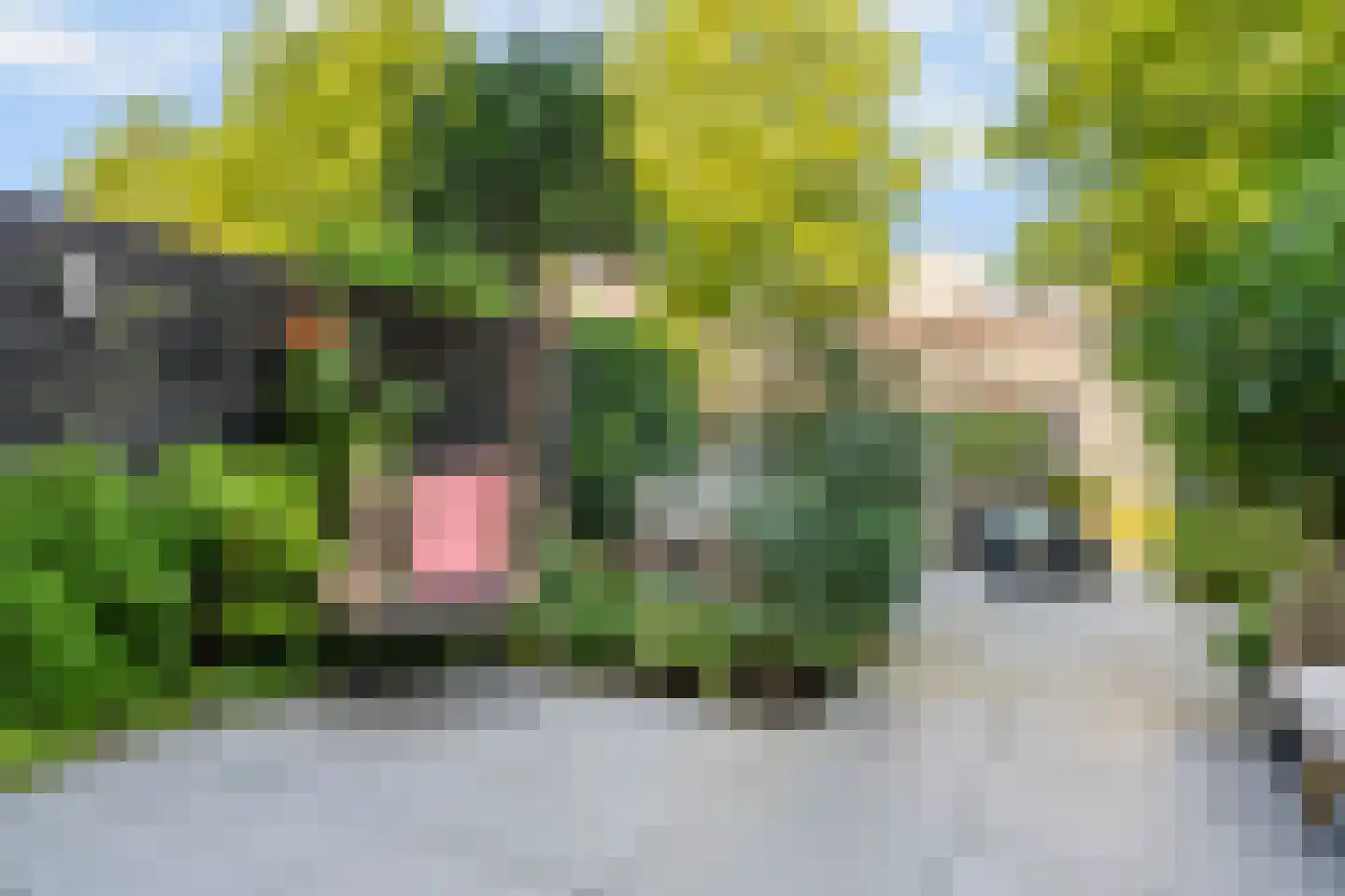 Parcivalring 117 's-Hertogenbosch thumbnail 18