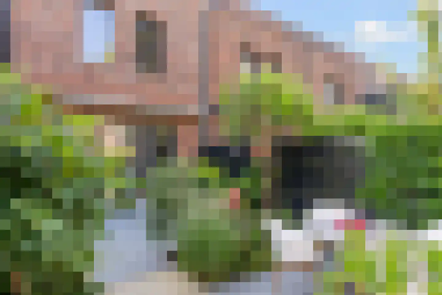 Parcivalring 117 's-Hertogenbosch thumbnail 21
