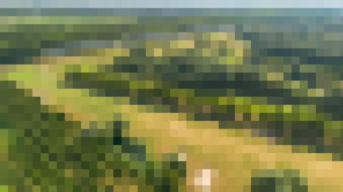 Parcivalring 117 's-Hertogenbosch thumbnail 48