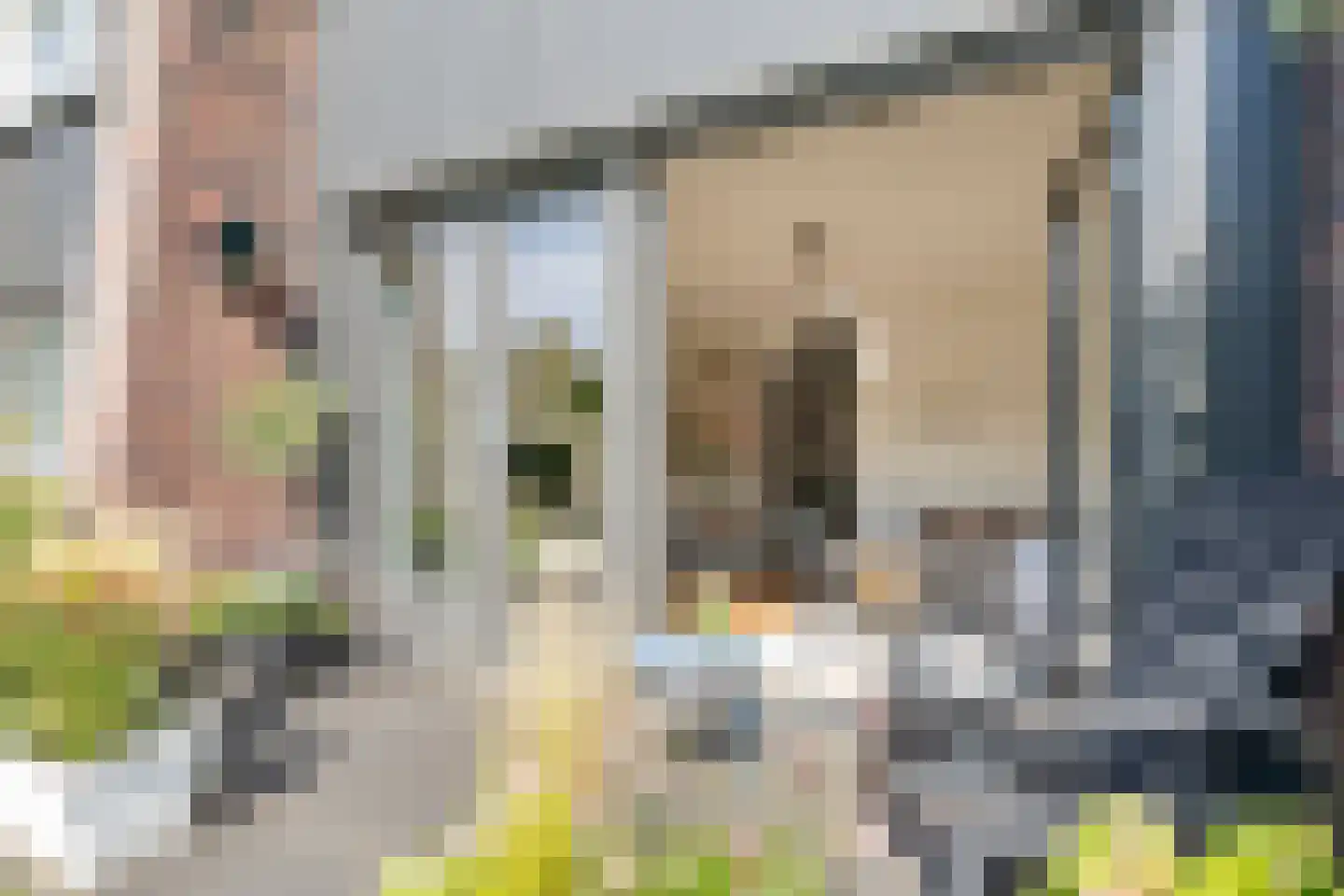 Parcivalring 117 's-Hertogenbosch thumbnail 6