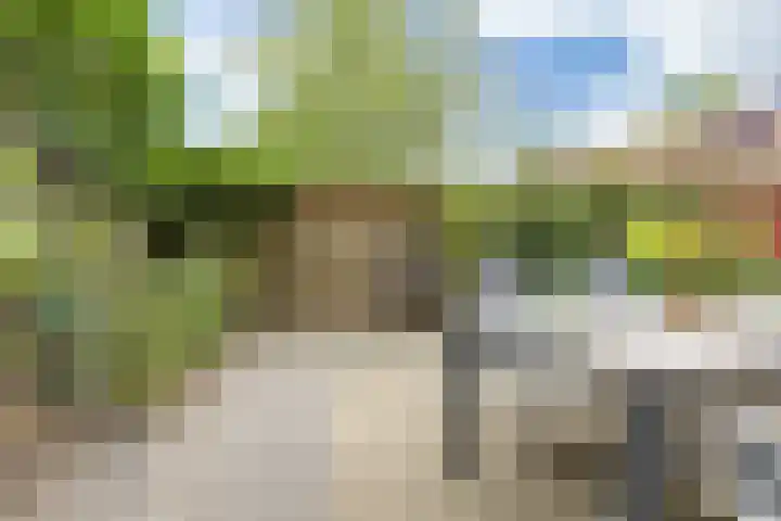 Parcivalring 158 's-Hertogenbosch thumbnail 15