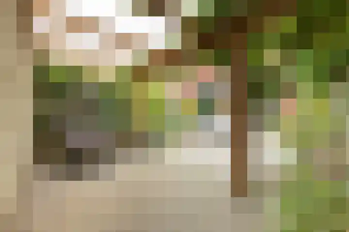 Parcivalring 158 's-Hertogenbosch thumbnail 17