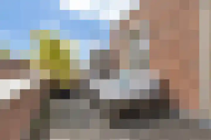 Parcivalring 158 's-Hertogenbosch thumbnail 37