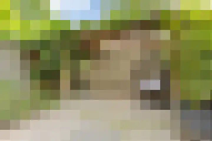 Parcivalring 158 's-Hertogenbosch thumbnail 43