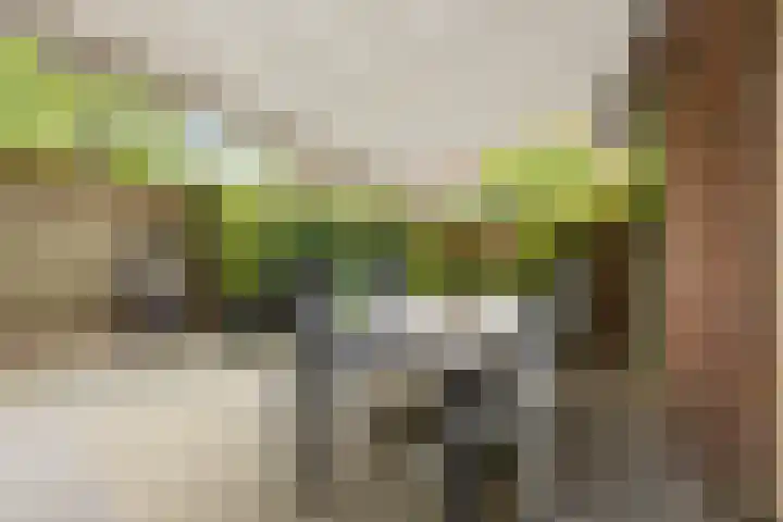 Parcivalring 158 's-Hertogenbosch thumbnail 47