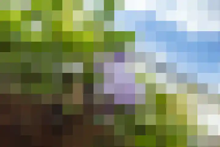 Parcivalring 158 's-Hertogenbosch thumbnail 48
