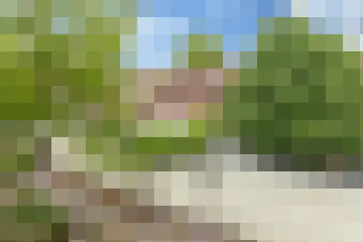 Parcivalring 158 's-Hertogenbosch thumbnail 49