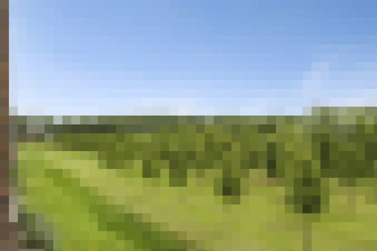 Parcivalring 165 's-Hertogenbosch thumbnail 27