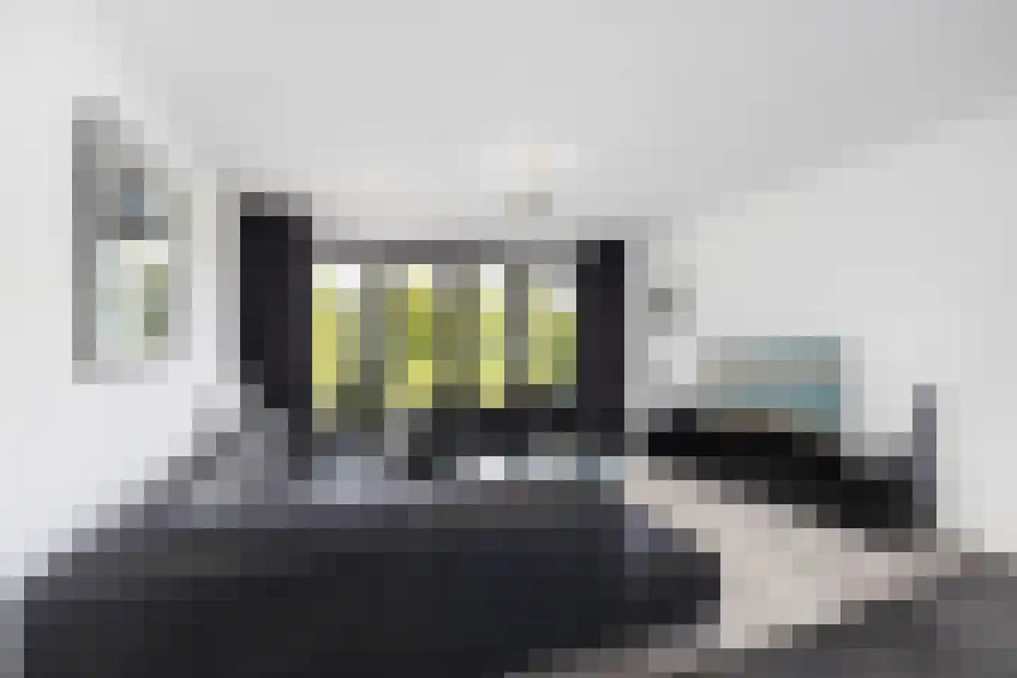 Parcivalring 165 's-Hertogenbosch thumbnail 4