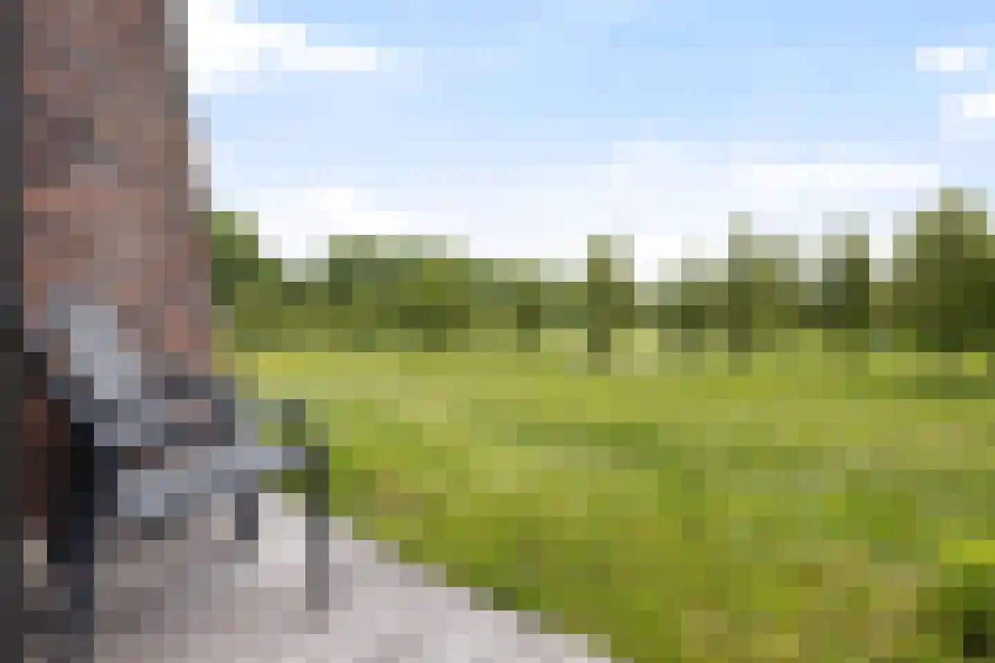 Parcivalring 165 's-Hertogenbosch thumbnail 7