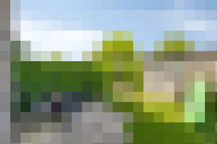 Parcivalring 18 's-Hertogenbosch thumbnail 8