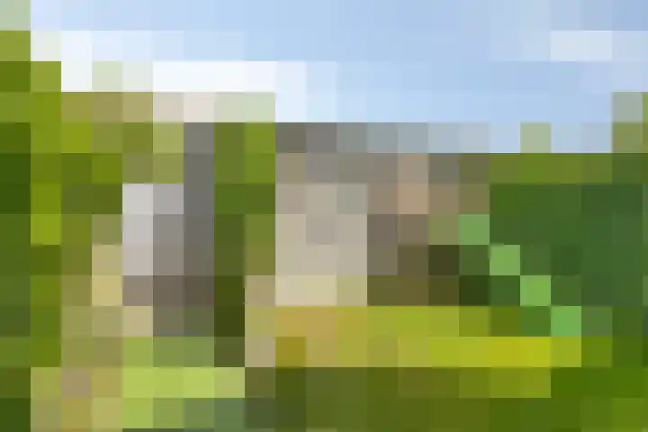 Parcivalring 18 's-Hertogenbosch thumbnail 9