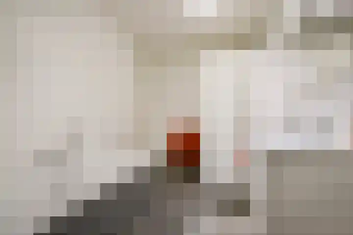 Parcivalring 203 's-Hertogenbosch thumbnail 25