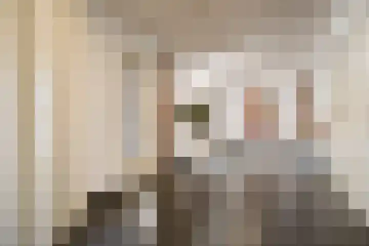 Parcivalring 203 's-Hertogenbosch thumbnail 27