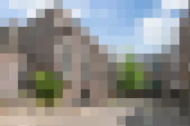 Parcivalring 203 's-Hertogenbosch thumbnail 30