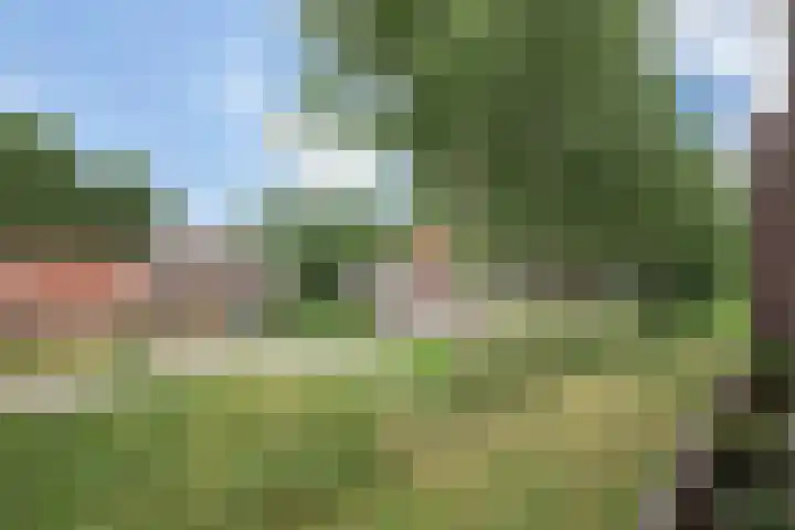 Parcivalring 203 's-Hertogenbosch thumbnail 34
