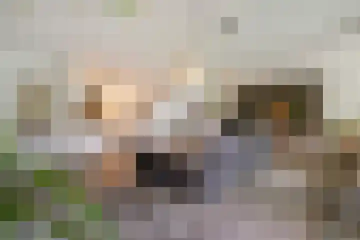 Parcivalring 203 's-Hertogenbosch thumbnail 4