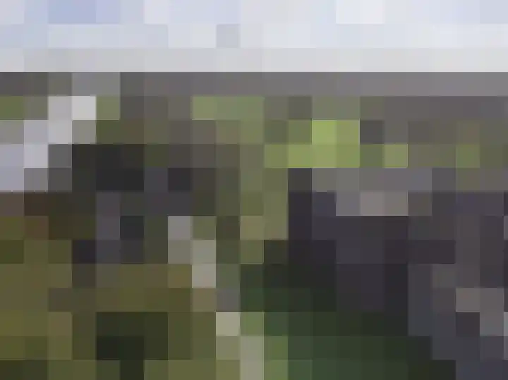 Parcivalring 203 's-Hertogenbosch thumbnail 40
