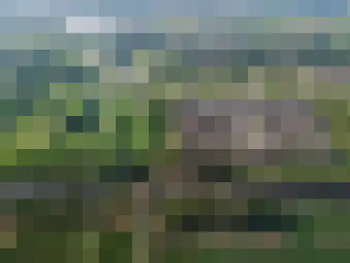 Parcivalring 203 's-Hertogenbosch thumbnail 41