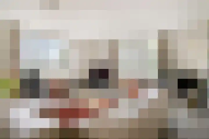 Parcivalring 203 's-Hertogenbosch thumbnail 7