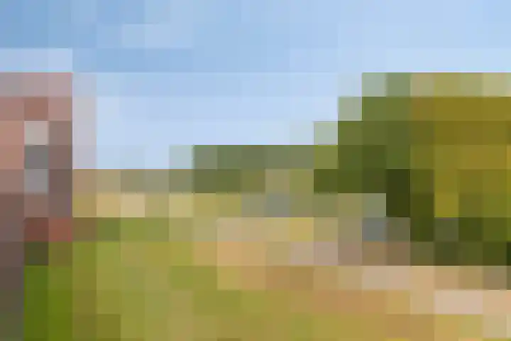 Parcivalring 213 's-Hertogenbosch thumbnail 22