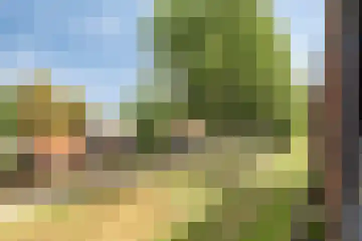 Parcivalring 213 's-Hertogenbosch thumbnail 32