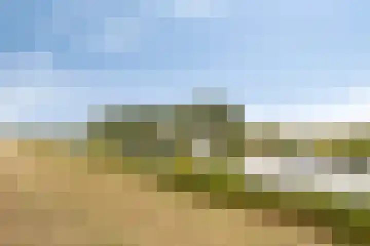 Parcivalring 213 's-Hertogenbosch thumbnail 46