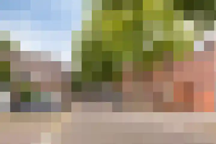 Parcivalring 213 's-Hertogenbosch thumbnail 5
