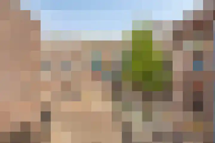 Parcivalring 213 's-Hertogenbosch thumbnail 7