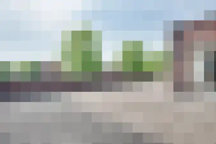 Parcivalring 219 's-Hertogenbosch thumbnail 21