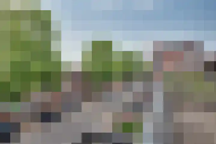 Parcivalring 219 's-Hertogenbosch thumbnail 22