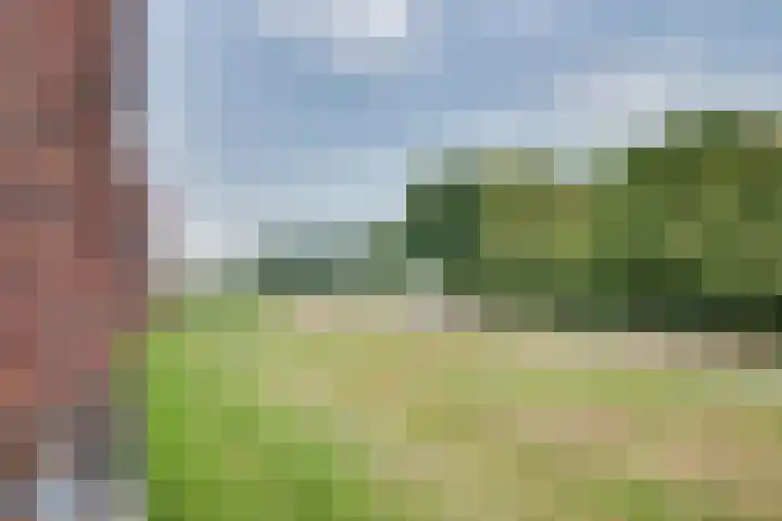 Parcivalring 219 's-Hertogenbosch thumbnail 23