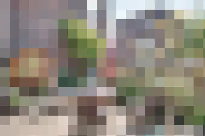 Parcivalring 219 's-Hertogenbosch thumbnail 25