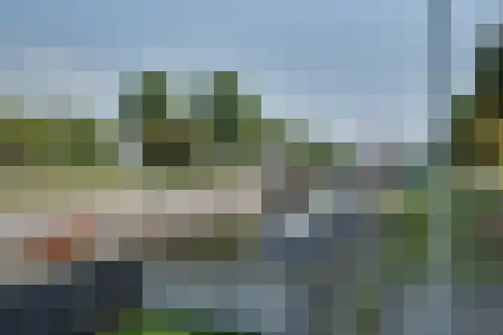 Parcivalring 219 's-Hertogenbosch thumbnail 30