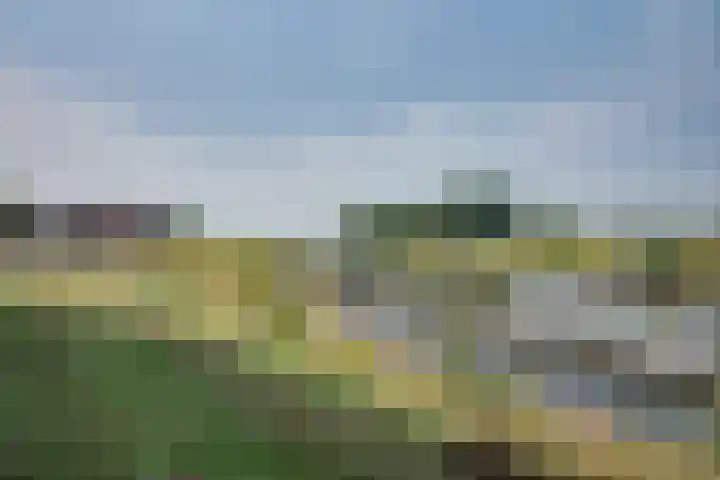 Parcivalring 219 's-Hertogenbosch thumbnail 4