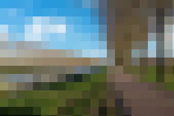 Parcivalring 223 's-Hertogenbosch thumbnail 35