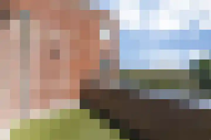 Parcivalring 259 's-Hertogenbosch thumbnail 13