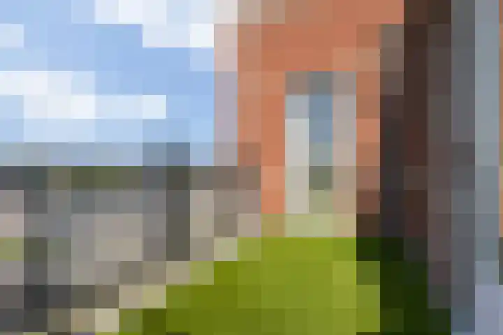 Parcivalring 259 's-Hertogenbosch thumbnail 20