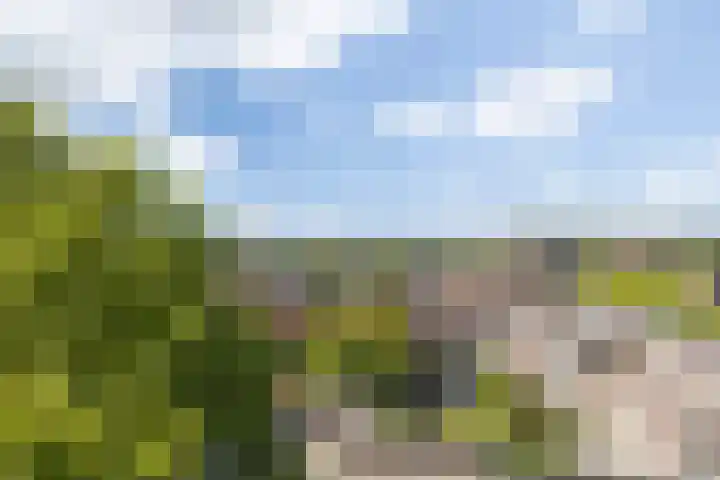 Parcivalring 259 's-Hertogenbosch thumbnail 22