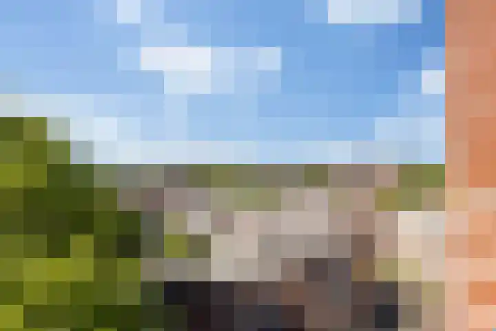Parcivalring 259 's-Hertogenbosch thumbnail 23