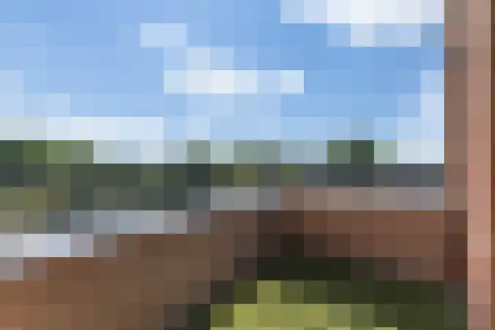 Parcivalring 259 's-Hertogenbosch thumbnail 4