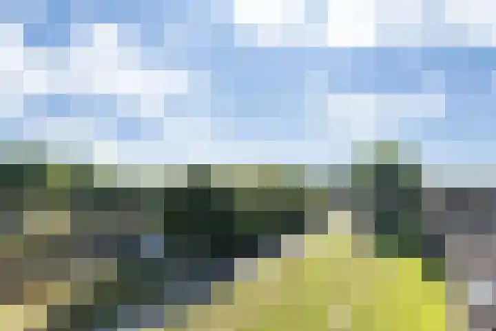Parcivalring 259 's-Hertogenbosch thumbnail 5