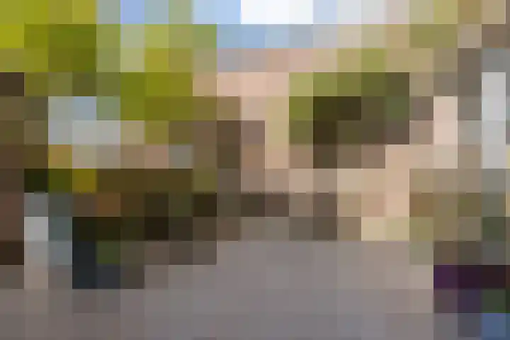 Parcivalring 301 's-Hertogenbosch thumbnail 13
