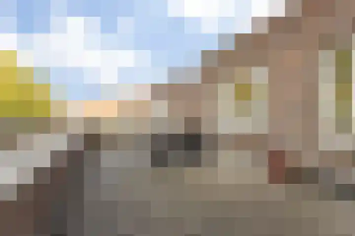 Parcivalring 301 's-Hertogenbosch thumbnail 27