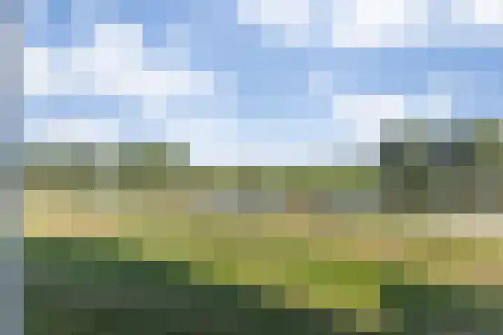 Parcivalring 301 's-Hertogenbosch thumbnail 34